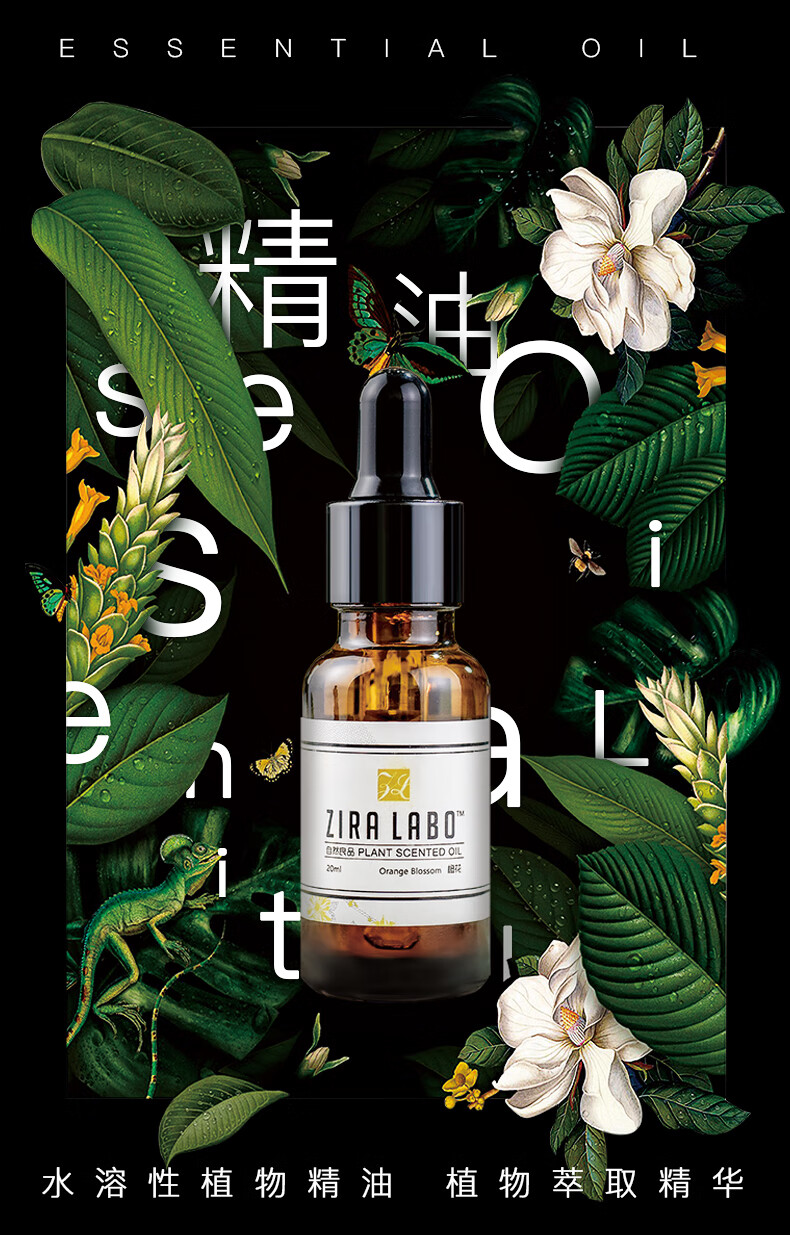 靜謐夜晚的守護者 薰衣草香薰精油的助眠魔力